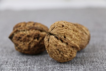 Natural Unshelled Walnuts Unwashed Bulk Pack