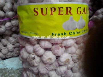 fresh pure white garlic,fresh pink garlic,pure white fresh garlic