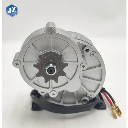 MY1016Z2 250W 12V 9 Gears DC Brush Motor for E-bike