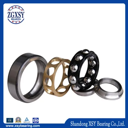SKF FAG NTN Koyo NSK Hrb Timken Angular Ball Bearing