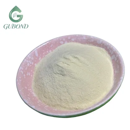 Sunflower Seed Protein for Commercial Food Manufacturing