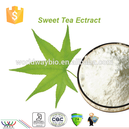 100% natural sweetener 70% rubusoside 60% polyphenols sweet tea leaf extract powder, sweet tea extract, rubusoside extract