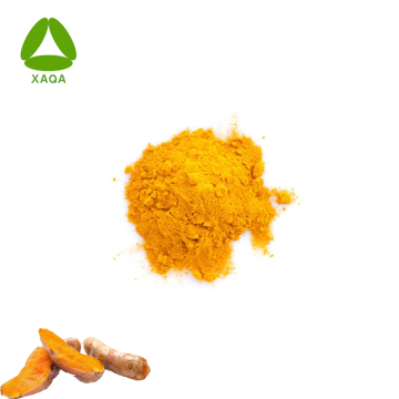 Organic Water Soluble Turmeric Extract Curcumin 95% Powder