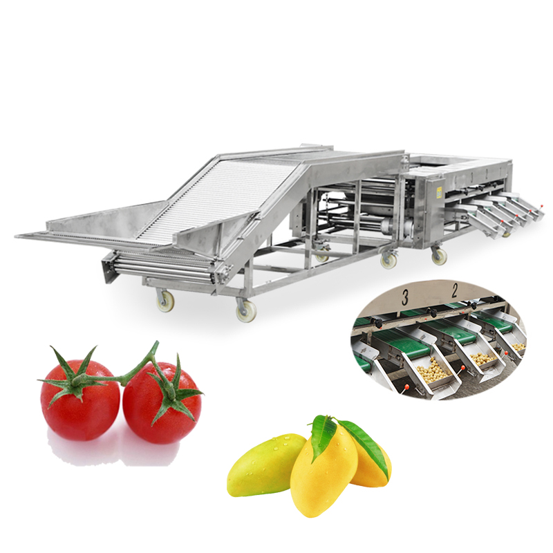 Potato Grading Machine Avocado Sorting Machine