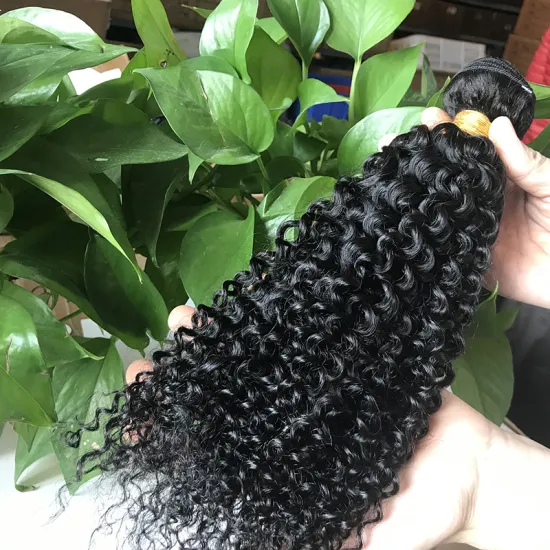 wholesale Natural Capelli raw Cambodian hair , grade 10A virgin kinky curly hair,  100 virgin Cambodian hair Bundles vendors
