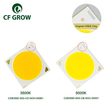 Original XLAMP CXB3590 LEDS