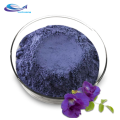 Natural butterfly pea flower extract powder