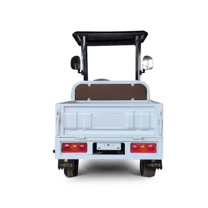 Electric Golf Cart with Cargo Box - Golf Vehicle
