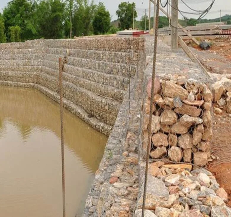 Scatola di gabion esagonale rivestita in PVC all'ingrosso per gabbia a maglie di filo in pietra