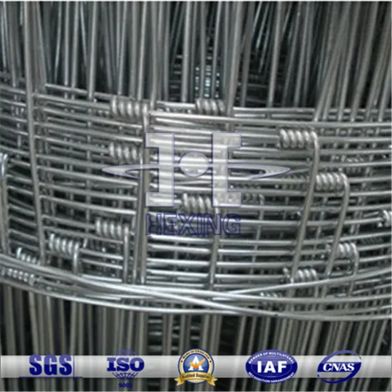 Hot Dipped Galvanized Horse/Cattle Enclosure Grassland Fencing