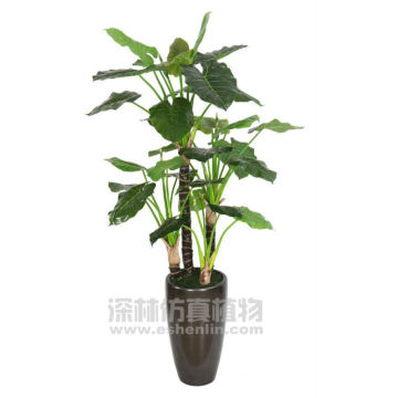 nearly natural indoor ornamental plants,artificial decorative plant