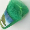 Plastic Square Mesh Anti Bird Netting