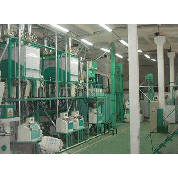 30-60ton/D Wheat Flour Machine