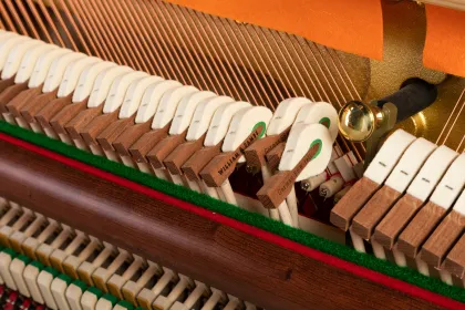 WILLIAMSAMES S3 Upright Piano Black Polished Home 123cm Acoustic Piano