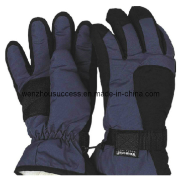 Ski-Gloves (SH12-2G033)
