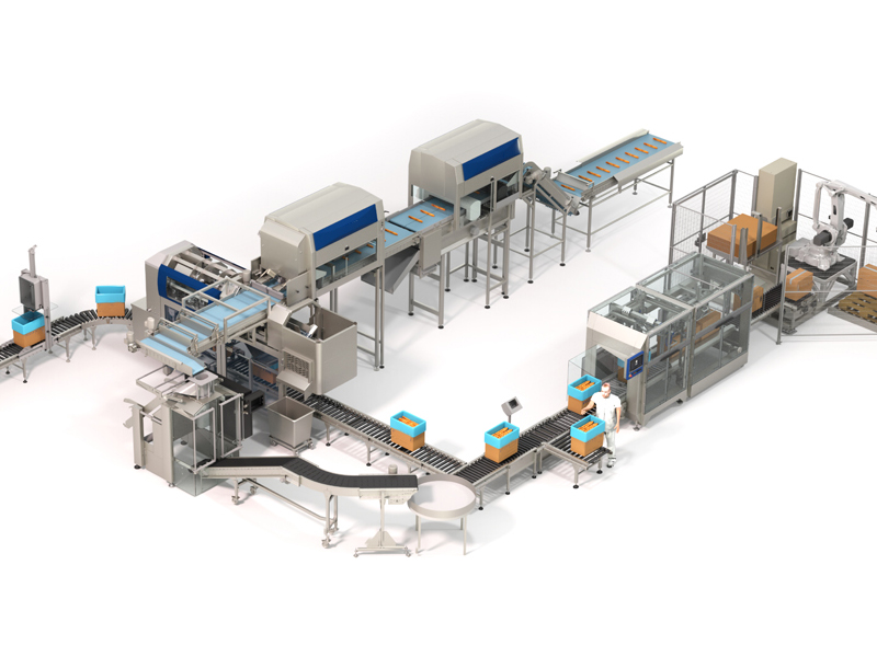 Food Post-Packaging Production Line