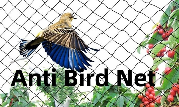 anti bird netting
