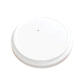 24W LED Ceiling Light