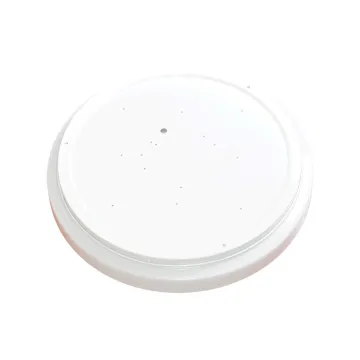 24W LED Ceiling Light