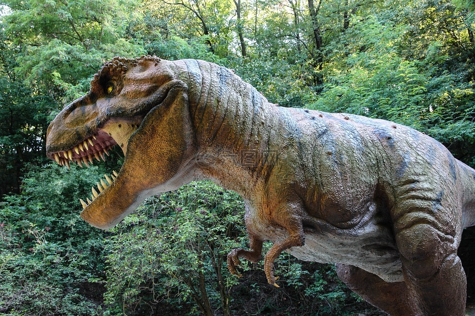 jurassic park tyrannosaurus rex animatronic