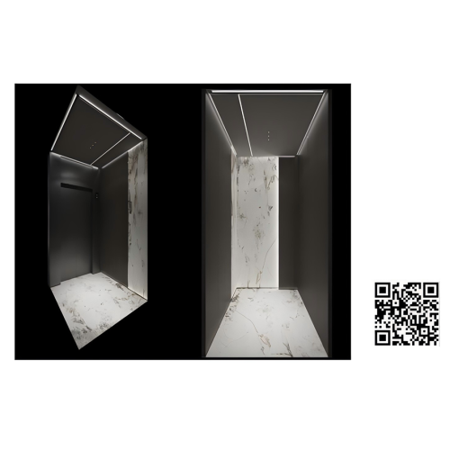 Capsule d'ascenseur domestique C