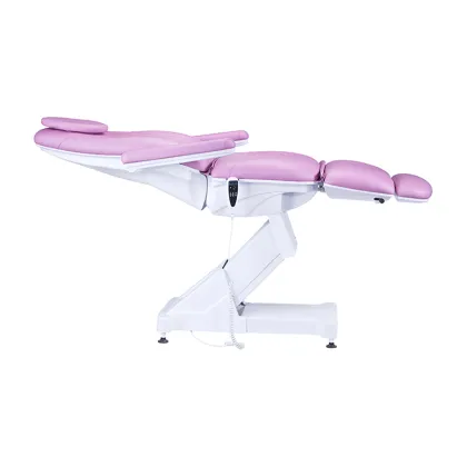 Purple color salon electric facial bed TS-2158