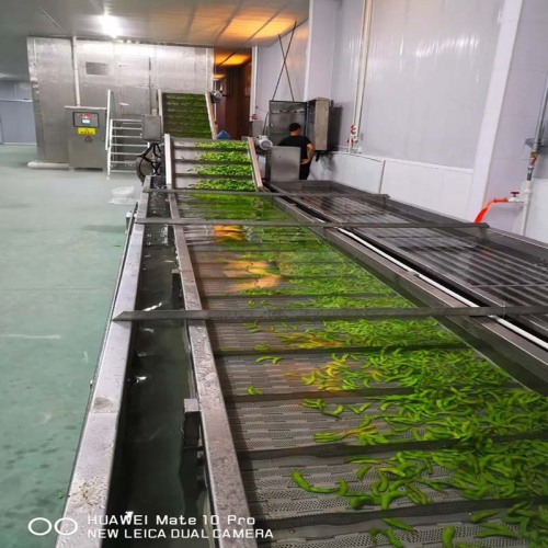 Equipo de congelación del túnel de la cama fluidizada de fruta vegetal de IQF