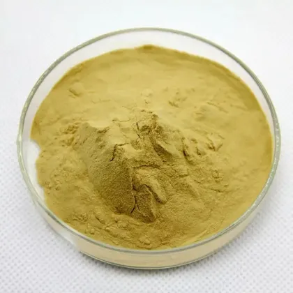 High-Quality Selenium Enriched Yeast: A Nutritional Supplement for Enhanced Health Benefits