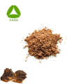 Bio Wild Chaga Pilzextraktpulver