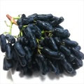 Uvas roxas Jade Tianzhu sem sementes