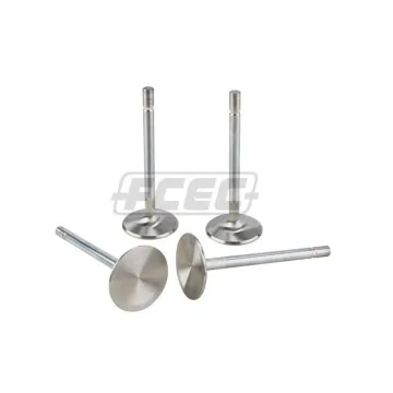 Foton ISF 2.8 Diesel engine part  intake valve 5308264