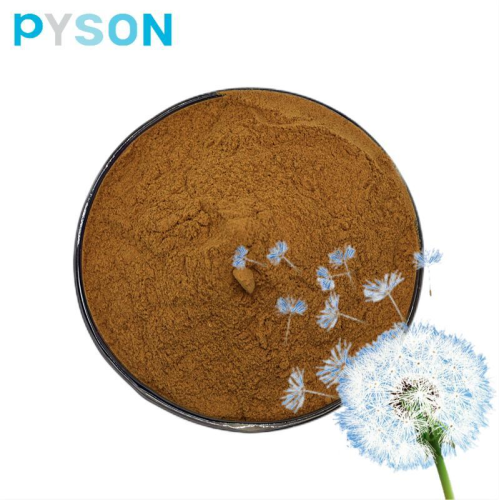 Dandelion Extract powder 10:1