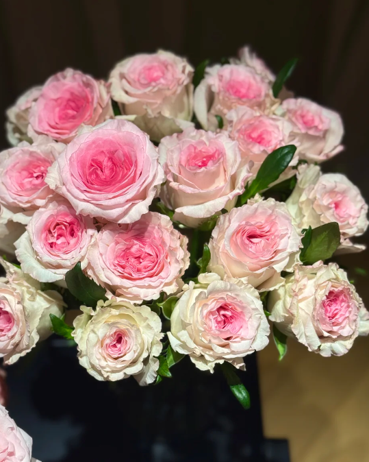 Roselle Rose