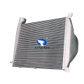 Auto Intercooler for BENZ C457