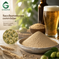 مسحوق خميرة التخمير Saccharomyces Cerevisiae