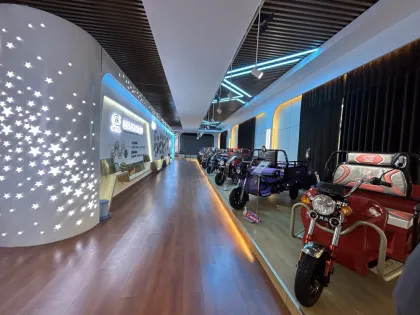 Stability Performance Electric Tricycle