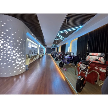 Stability Performance of Electric Tricycles: An Analysis