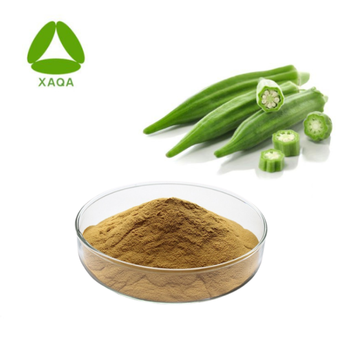 Okra Extract Powder Tonifying Kidney Ingredients