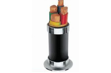 Concentric Conductor Power Cable With Pvc Insulation And Sheath