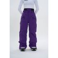 Mens Snow Ski Waterproof Snowboard Pants