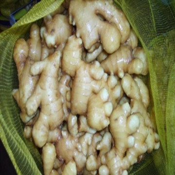 Good Quality Fresh Ginger