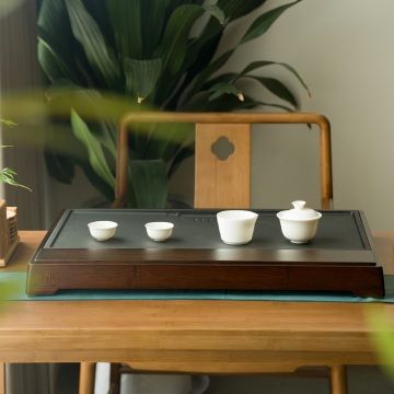 Personalized Style and Easy to Clean PlasticServing Tray