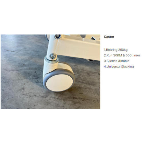 Electric Hospital ABS Nursing Medical Bed Elderly Patient