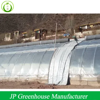 Lean To Greenhouse