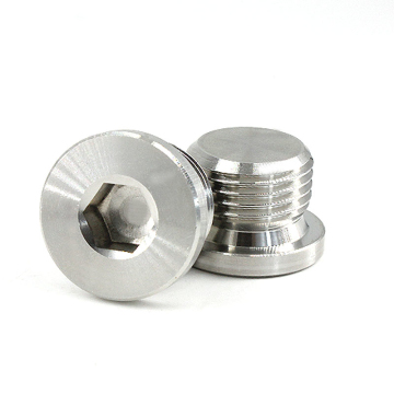 Factory Stock 304 Stainless Steel Hex Oil Drain Plug: M18, M20*1.5, DIN 908, M22x1.5