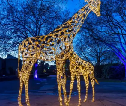 Whale Sculpture Motif Light