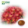 Rhodiola Rosea Extrakt 5% Salidroside