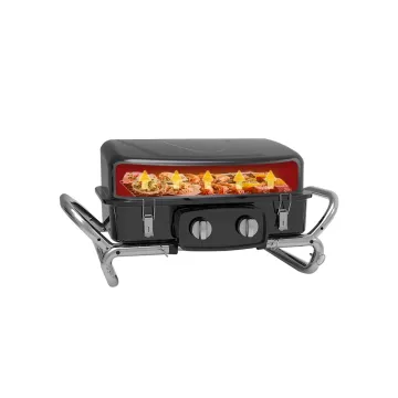 2 Burners Gas Grill 11000 BTU Outdoor Portable Deluxe Gas Grill