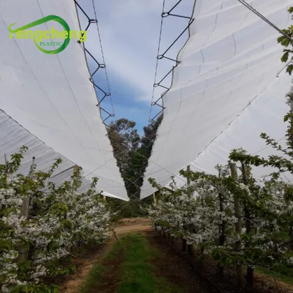 Cherry Cover Snap Clips