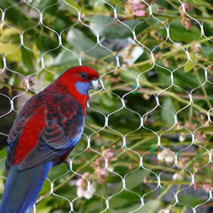 Redes de polietileno de alta densidad Anti aves
